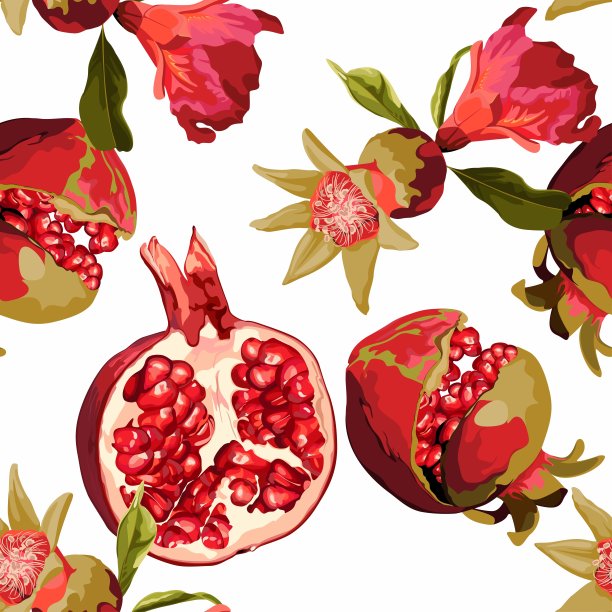 无缝图案与石榴水果在白色的背景。设计用于化妆品、spa、石榴汁、保健品、香水。最适合纺织或包装纸。图片下载