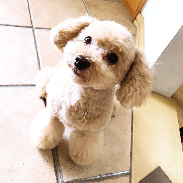 我等待图片下载