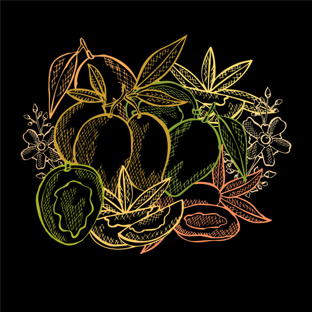 手绘的水果图片下载