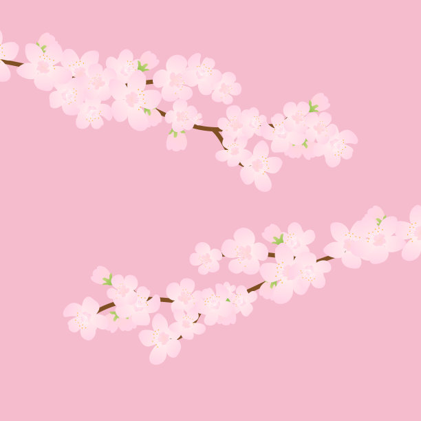 粉色樱花，矢量插图。粉红色的樱花图片下载