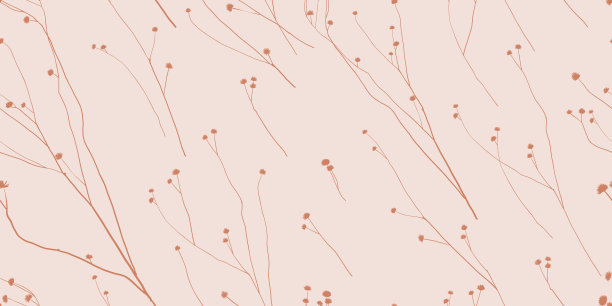 粉红色背景上的抽象野花。图片下载