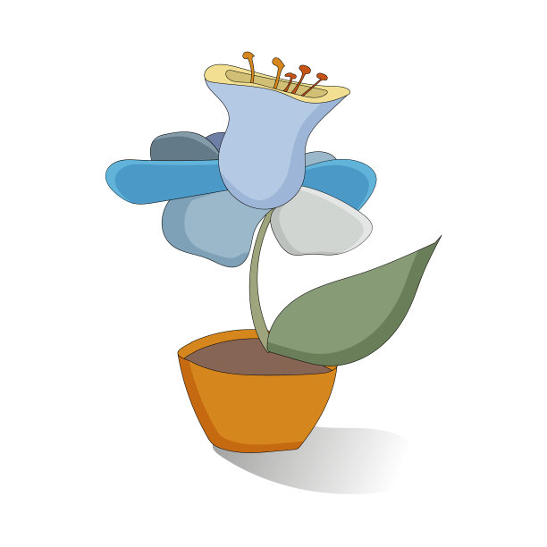 室内盆栽植物。花茎有蓝色和蓝色的花瓣。家庭的概念，家的舒适和美丽的公寓图片下载