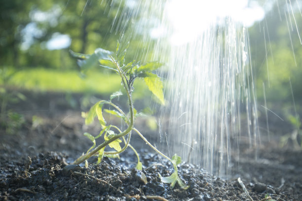 寒冷的早晨淋浴图片下载