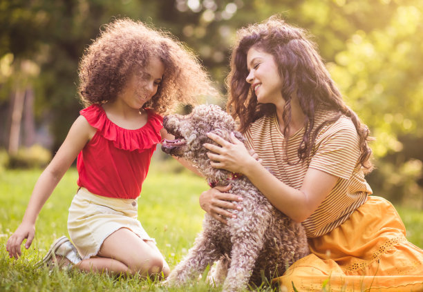 他们最好的朋友。图片下载