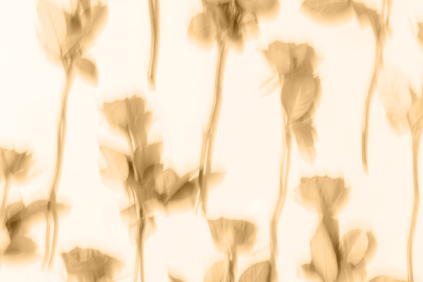 玫瑰运动模糊抽象背景色调的棕色图片下载