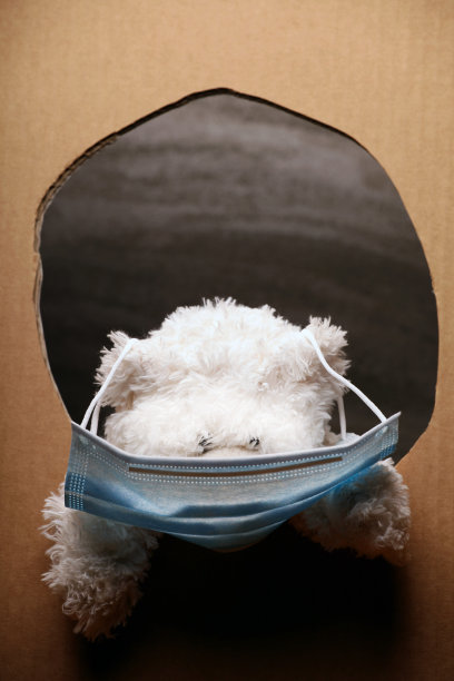 图片的玩具熊的纸背景图片下载