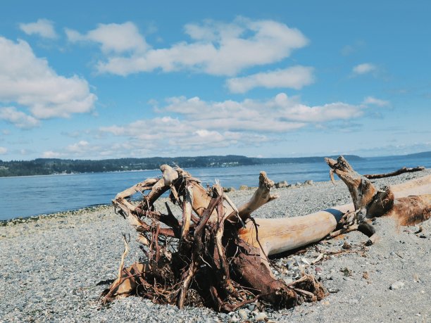 海洋污染图片下载