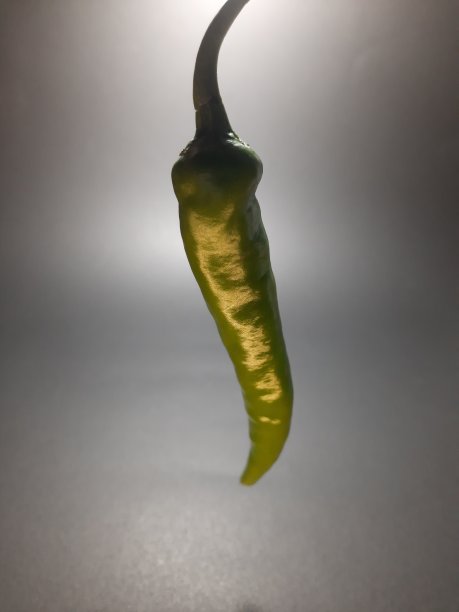 单一的绿色辣椒库存图像，照片和载体图片下载