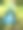 野外开花植物特写图片下载