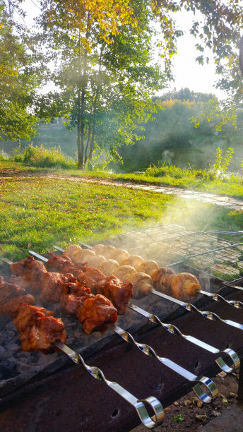 烧烤架蔬菜。烤肉架上的肉和蔬菜，映衬着夕阳图片下载