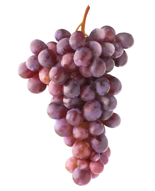 孤立的红葡萄图片下载