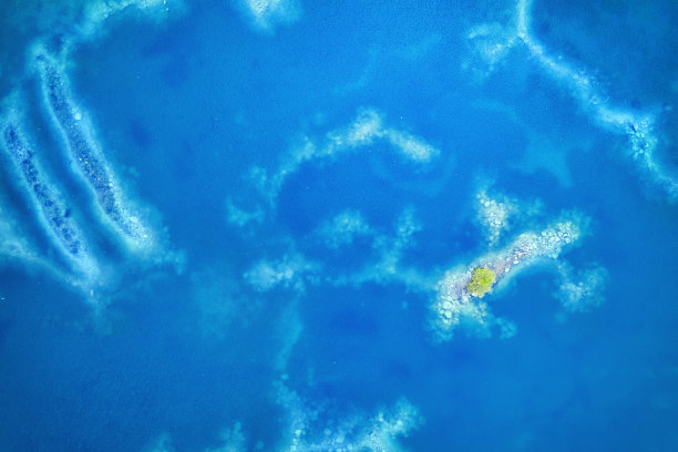 蓝色的浅水表面与树上的微笑岛天线图片下载