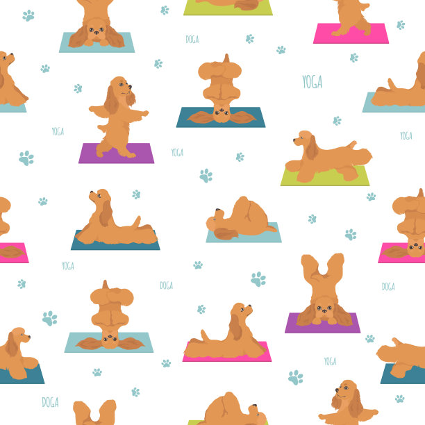 瑜伽狗的姿势和运动无缝模式图片下载