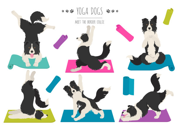 瑜伽狗姿势和运动海报设计图片下载