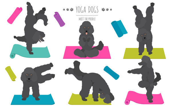 瑜伽狗姿势和运动海报设计图片下载