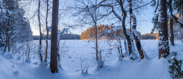傍晚在冰冻的森林湖上。图片下载