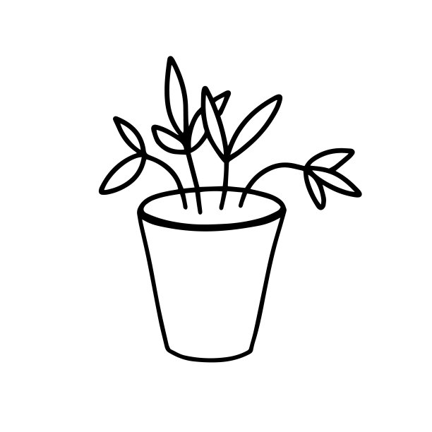 为房间种植植物。盆栽的家植物孤立在白色的背景。矢量孤立插图与室内植物在白色的背景。涂鸦风格。图片下载