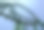 弧形过山车在一个主题或游乐园空绿色金属轨道和蓝天背景。图片下载