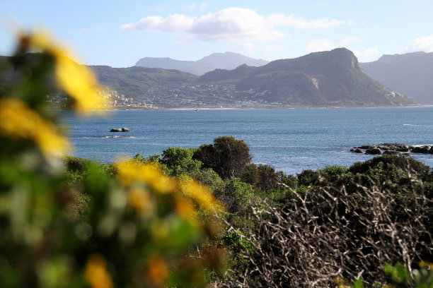 在南非开普敦附近的西蒙斯镇，风景优美的海湾图片下载