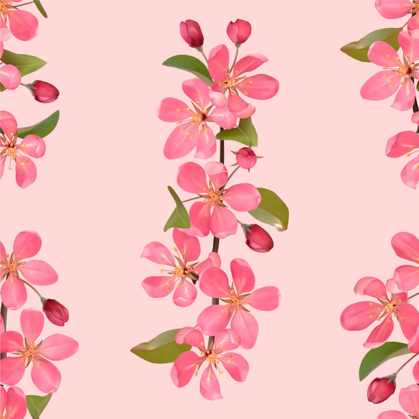 樱花枝头粉红，浪漫天衣无缝图片下载