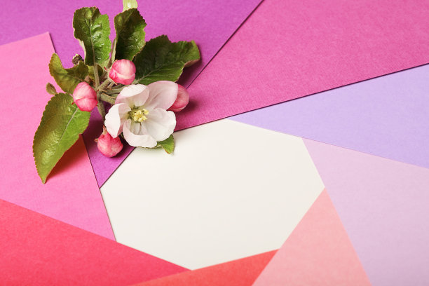 在粉红色的纸上开花的苹果树枝，梯度。单色纸上的相机镜头光圈概念。模型，复制空间，颜色背景。图片下载