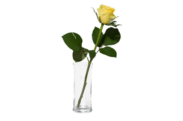 玻璃花瓶与花束花透明背景图片下载