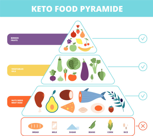 生酮食物营养金字塔低碳水化合物食物图片下载