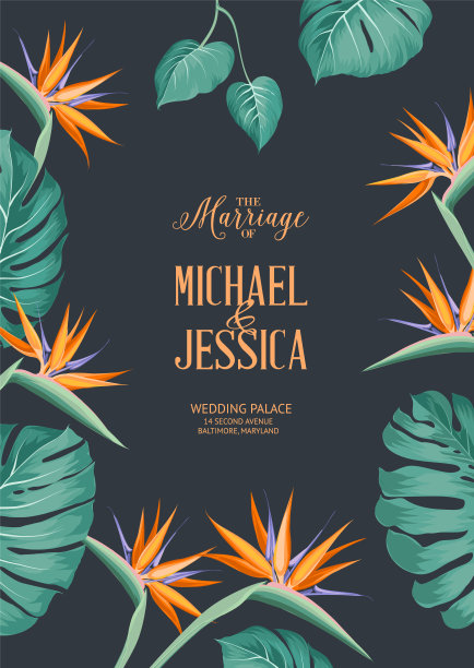Avesome设计为您的个人封面。花的框架设计与文字tempate。封面为热带主题。现代风格的叶子纹理插图。图片下载