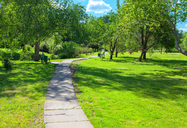 在绿色的公园里散步图片下载