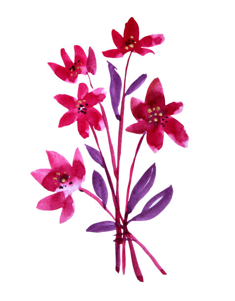 水彩手绘花束红花百合叶天真的艺术孤立在白色的背景。用于贴纸、卡片、墙纸、纺织品或包装的艺术创作的自然对象。素材图片