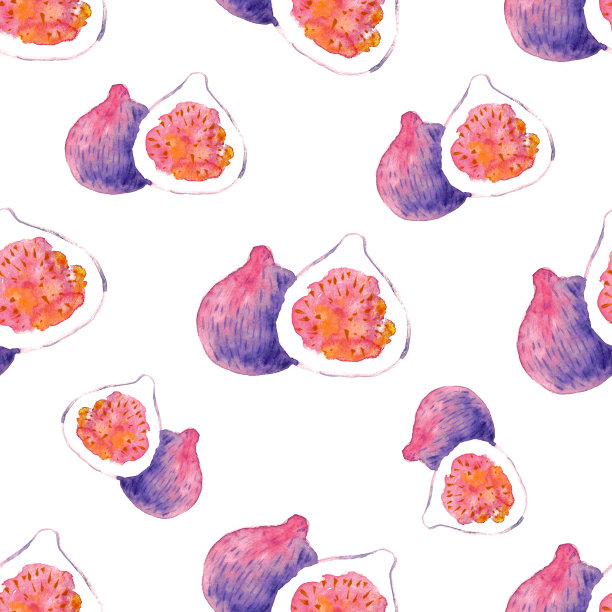 无花果水彩无缝模式上的白色背景图片下载