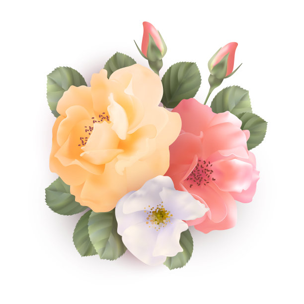 束玫瑰图片下载