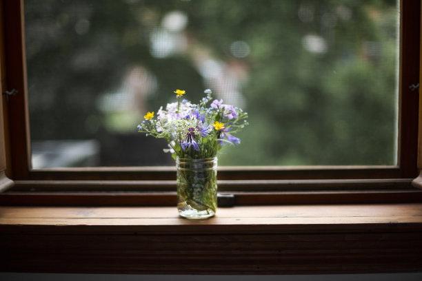 一束野花图片下载