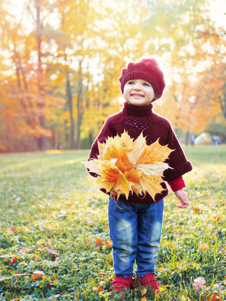 秋天，穿着红毛衣、戴着贝雷帽、拿着一束黄色枫叶的小女孩在sunnu day公园里笑图片下载