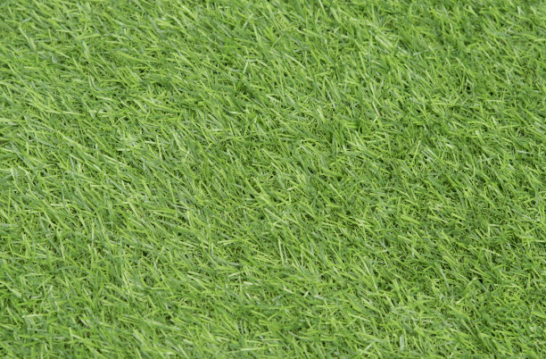 在花园里装饰地面上的绿草的纹理背景。复制空间的文字和想法，用于制作背景。图片下载