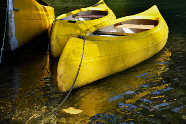 在平静的水面上划皮划艇/在美丽的绿色河流上划黄色的皮划艇/运动和娱乐的概念形象-形象图片下载