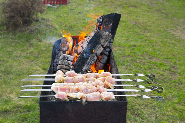 撒上调味料的鲜肉串在烤肉串上供烧烤。图片下载