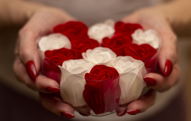 美丽的打扮女人的手与红色指甲与人工红白玫瑰。图片下载