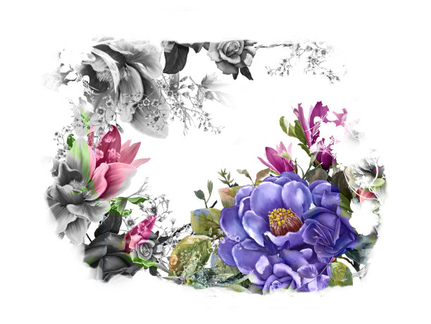 水彩画的叶子和花，在白色的背景图片下载