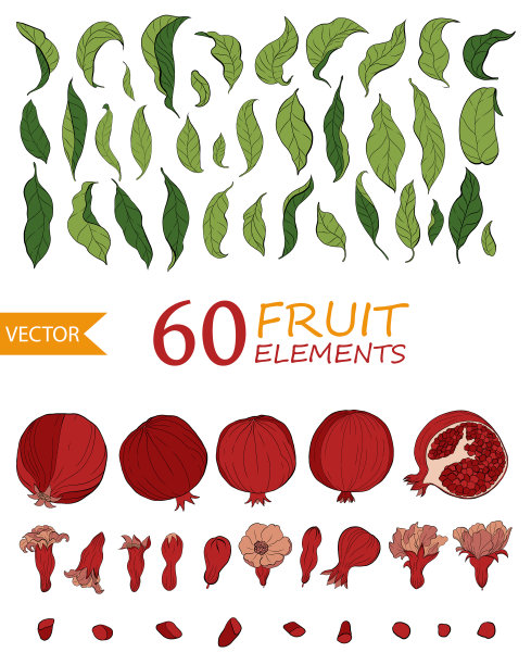 设置60个石榴元素花和叶子图片下载