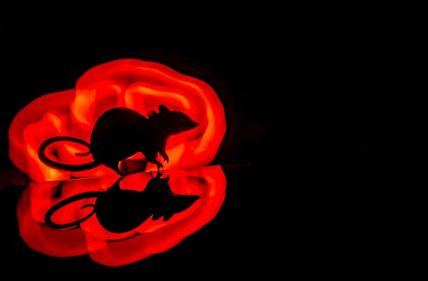 光画一只老鼠的剪影图片下载