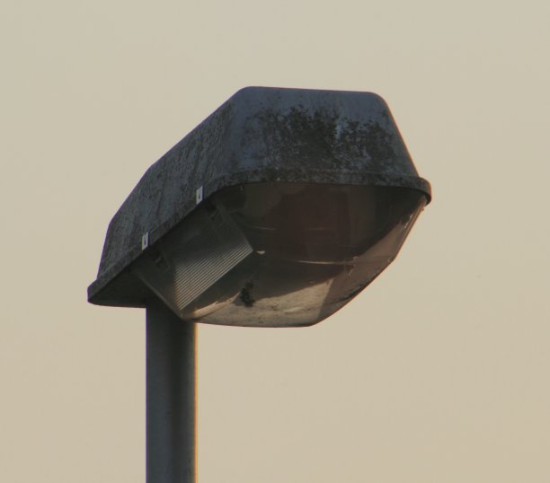 路灯在蓝色的时刻放大了图片下载