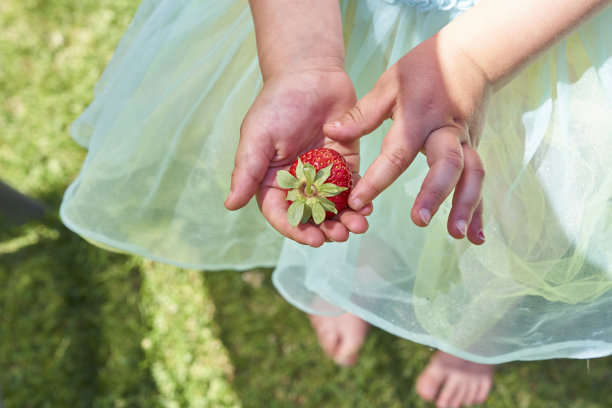 四岁的小女孩手里拿着一颗草莓图片下载