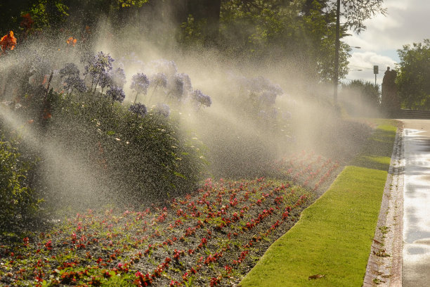 在一个阳光明媚的早晨在公园里自动浇花。图片下载