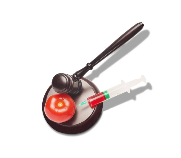 转基因果蔬概念。GMO法律图片下载