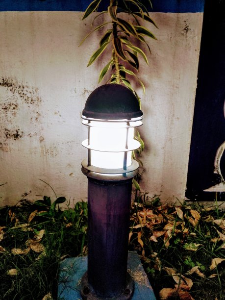 公园的灯。图片下载