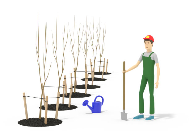 园丁正拿着铁锹站在旁边的那排刚种下的小树旁。三维演示图片下载