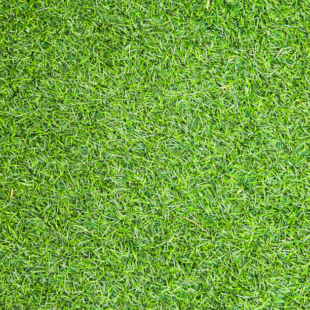 绿草纹理可以作为背景图片下载