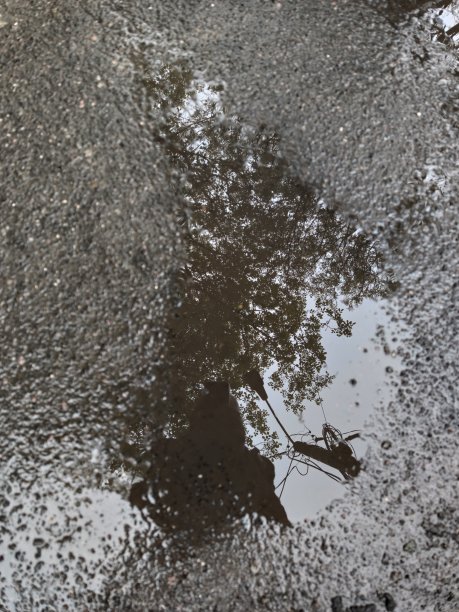 潮湿的沥青和水坑，树，天空和柱子的倒影图片下载