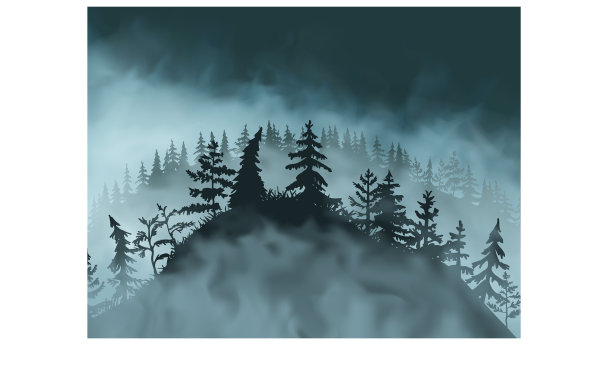 神秘的山上布满了松树、云杉和青草图片下载